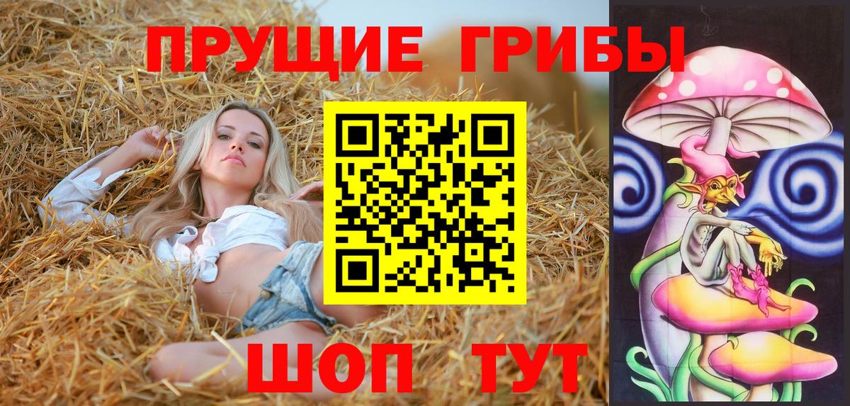 Псилоцибиновые грибы Psilocybe  Вход с VPN  Псилоцибиновые грибы Psilocybine cubensis  Тобольск 